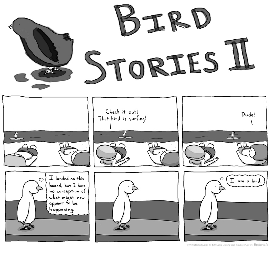 Bird Stories II