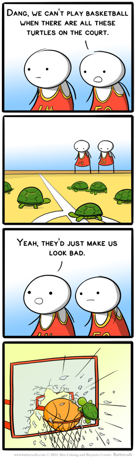 Turtles on the Court