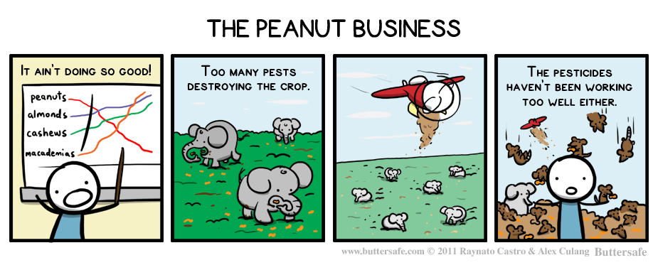 The Peanut Business