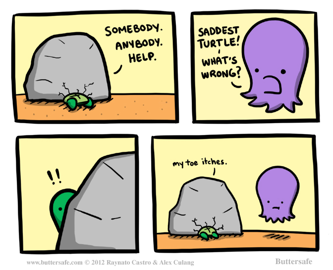 Saddest Turtle Is Stuck