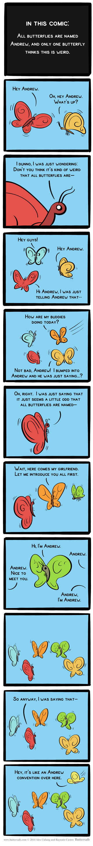 All Butterflies Are Named Andrew