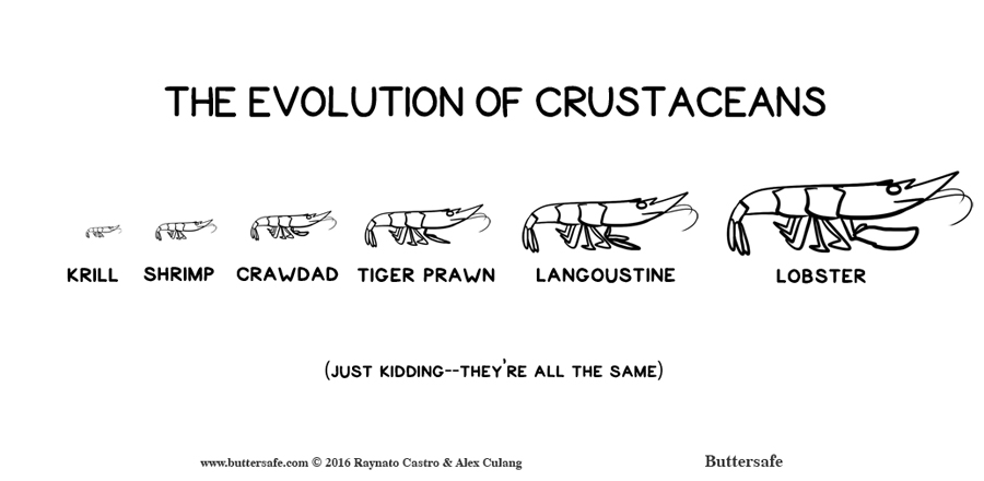 The Evolution of Crustaceans