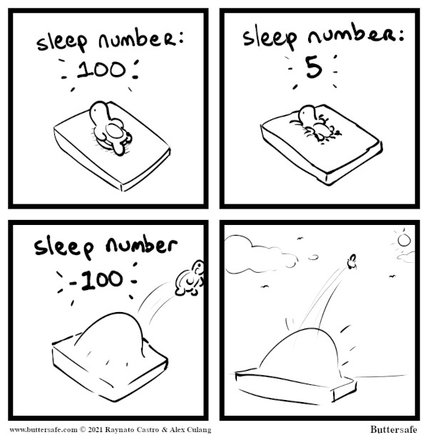 Sleep Number Bed